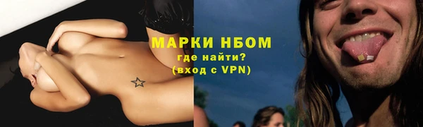 сатива Дмитров