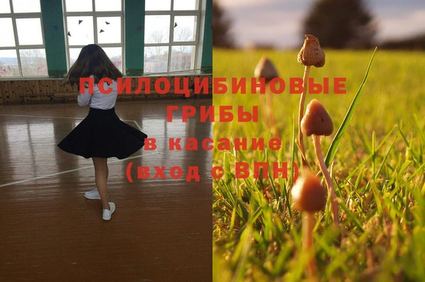 мефедрон мука Дмитровск