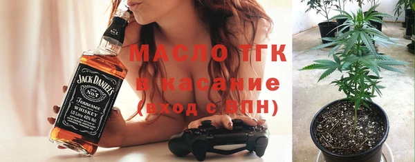 твердый Дмитриев