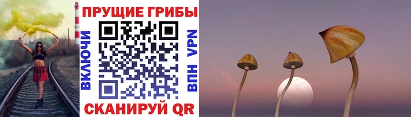 Галлюциногенные грибы Magic Shrooms  Заполярный 